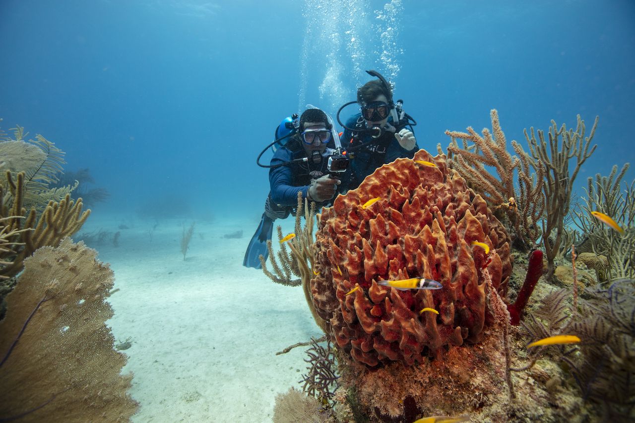 underwater photography course in front of coral