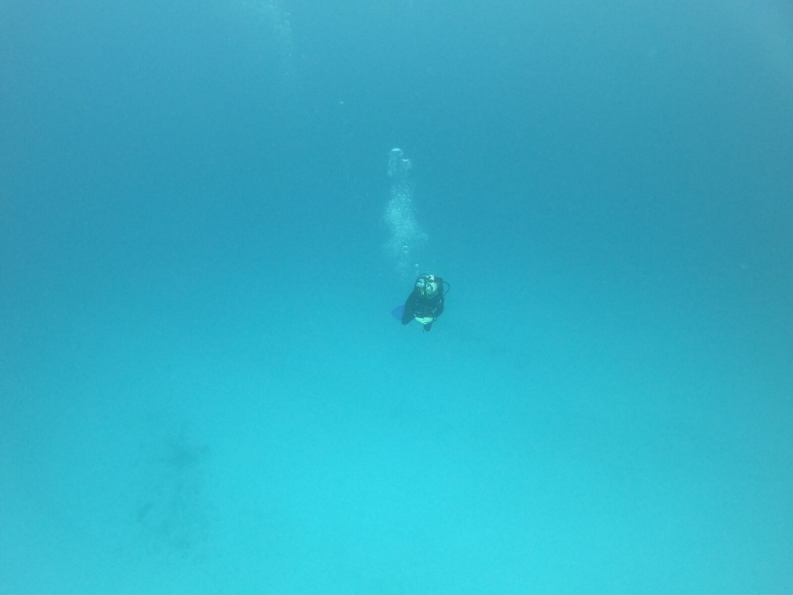 Diver in clear water while scuba diving with sharks in Mexico
