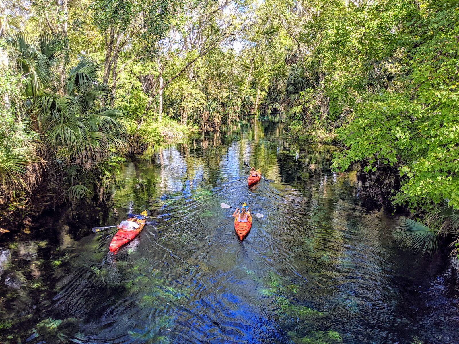 Kayaking in Silver Springs Florida
