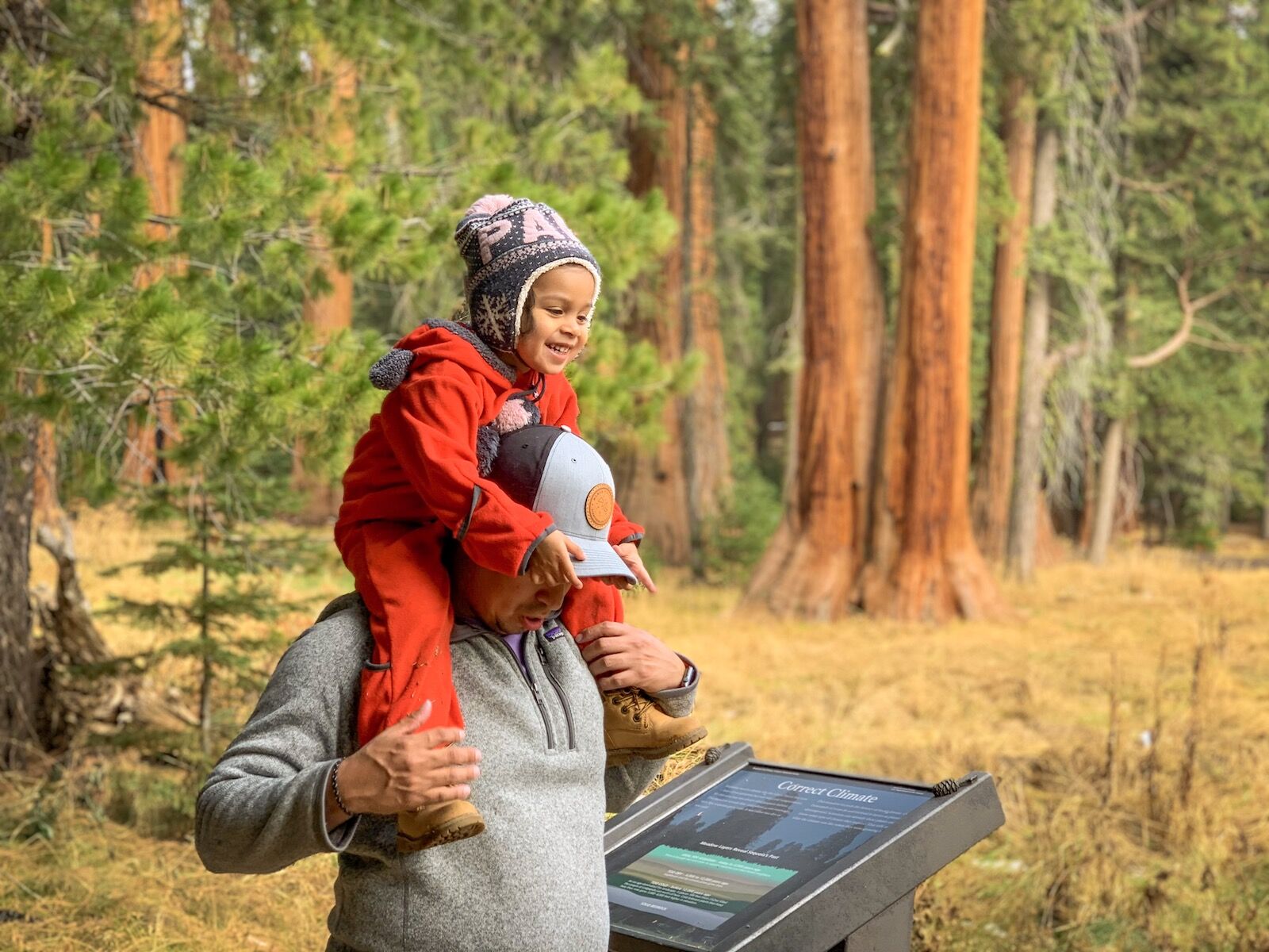 Dad and daughter on shoulders in Sequoia National Park