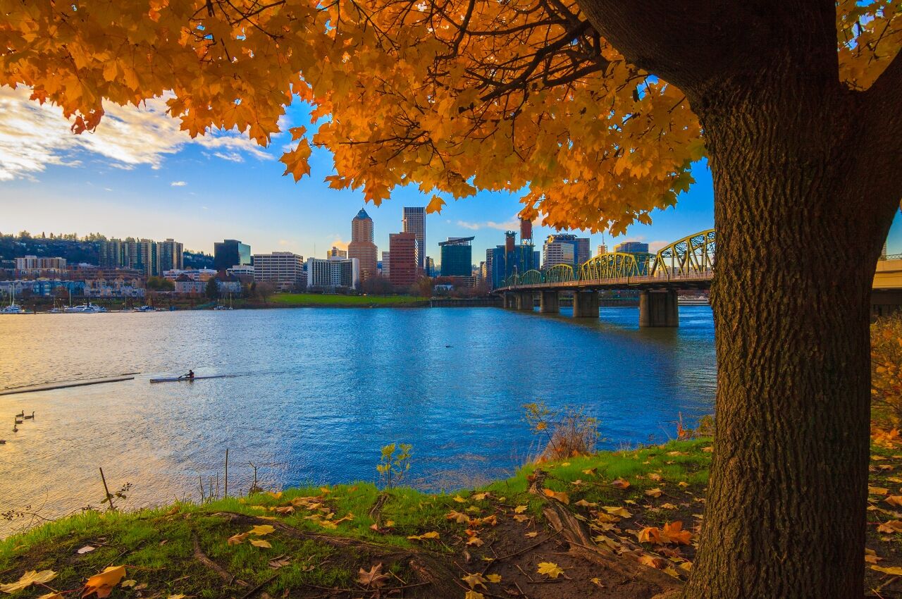 Portland skyline over river in fall 