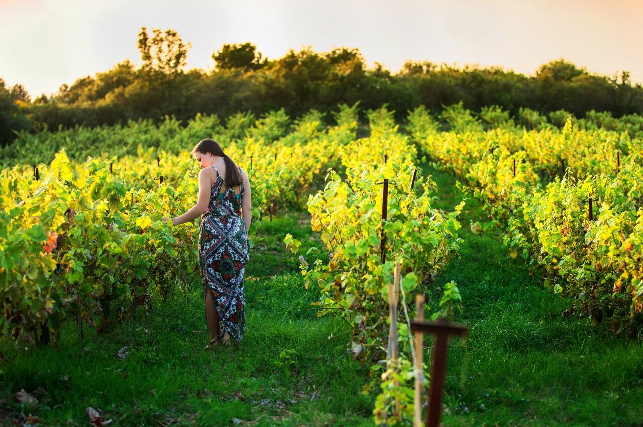 Women walking through vineyards in Sonoma California 
