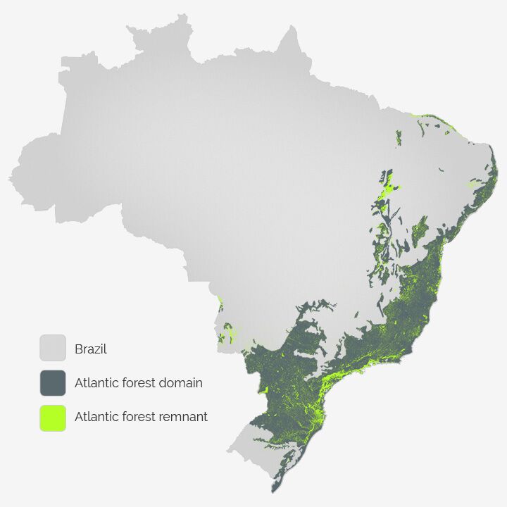 A map of the existing Brazil Atlantic Forest