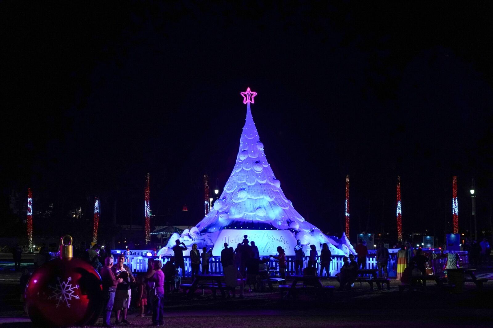 The worlds only Sandi Tree Florida