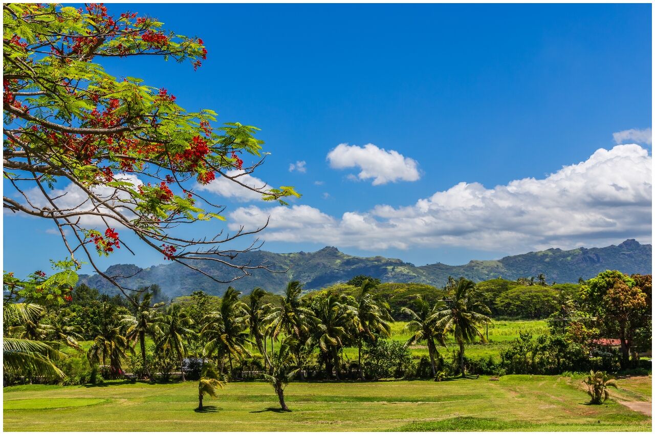 Trees and green mountains near Nadi Fiji