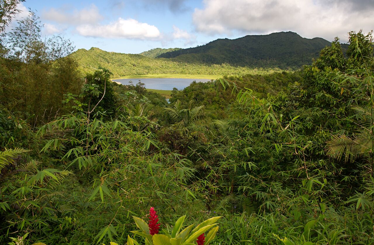Grenada, Island - Grand Etang National Park - Grand Etang Lake