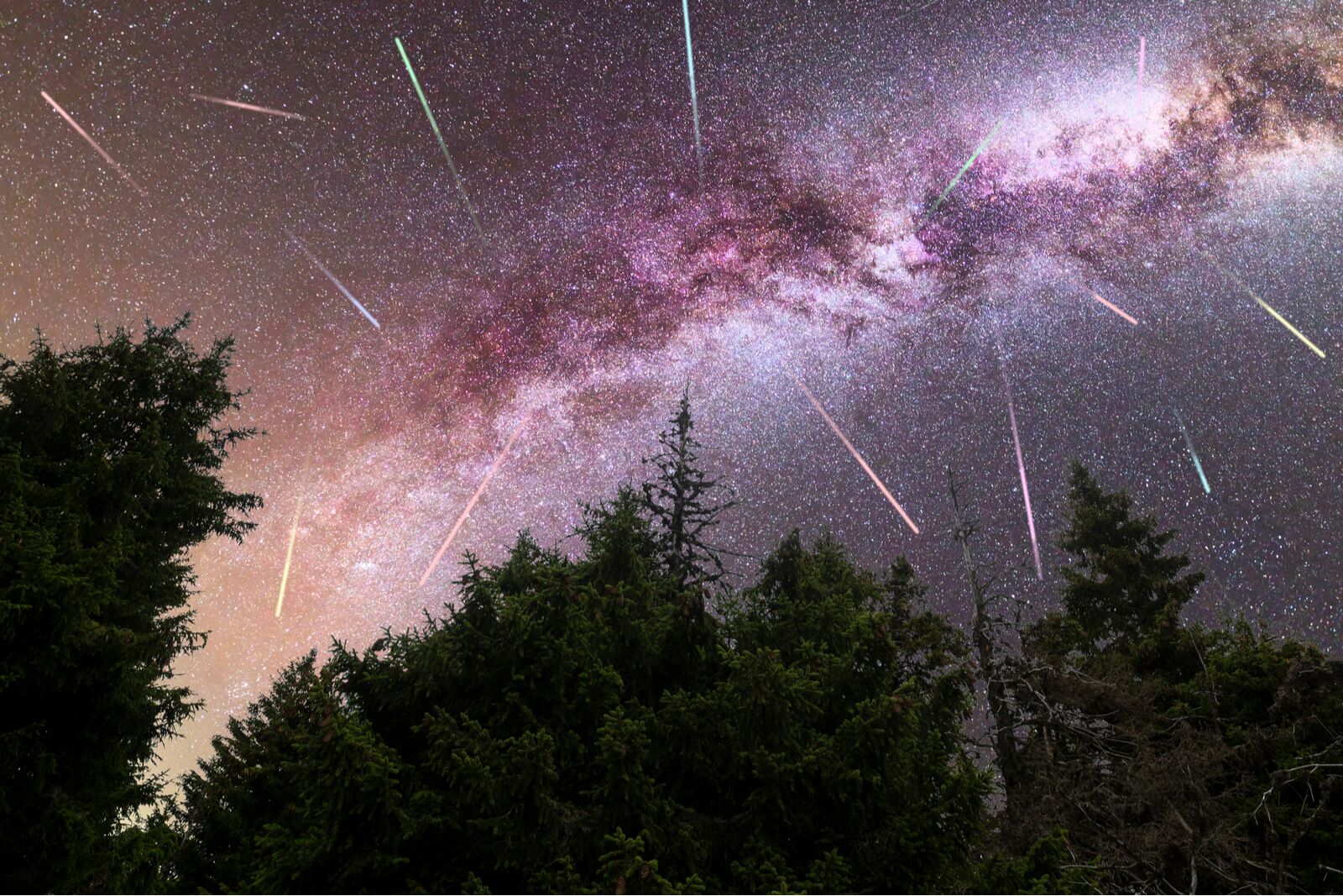 Perseid Meteor Shower observation. Night sky nature summer landscape.
