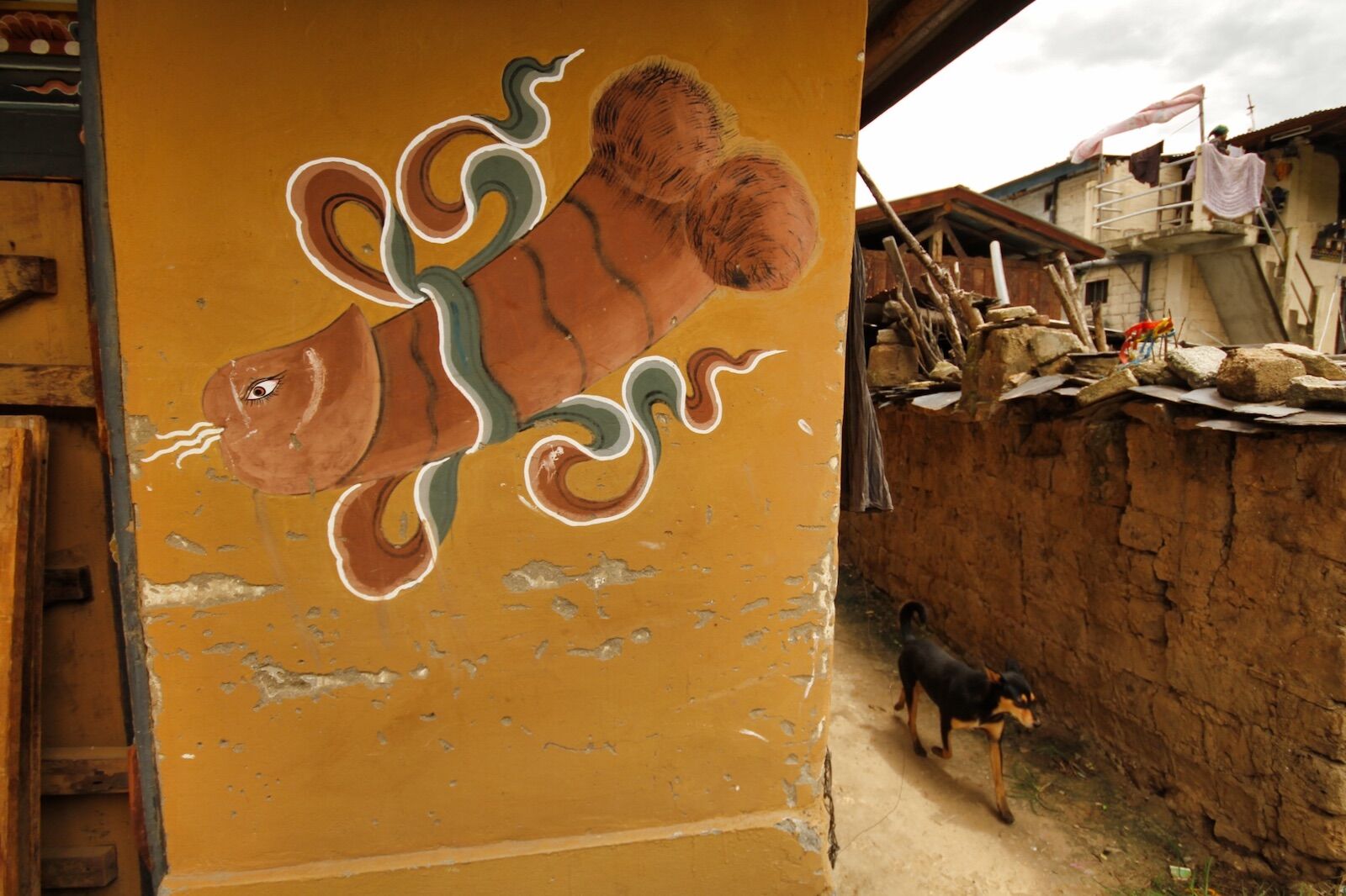 A painting of a penis in Bhutan on a house. The penis has eyes, hair, and is blowing a white substance from its mouth.