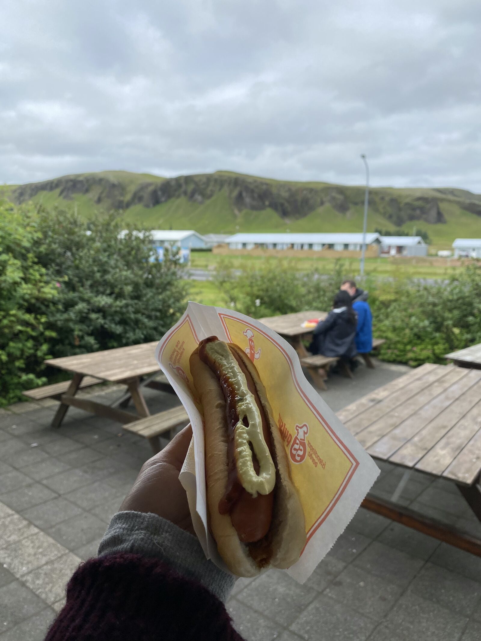 Iceland gas station - Hot Dog