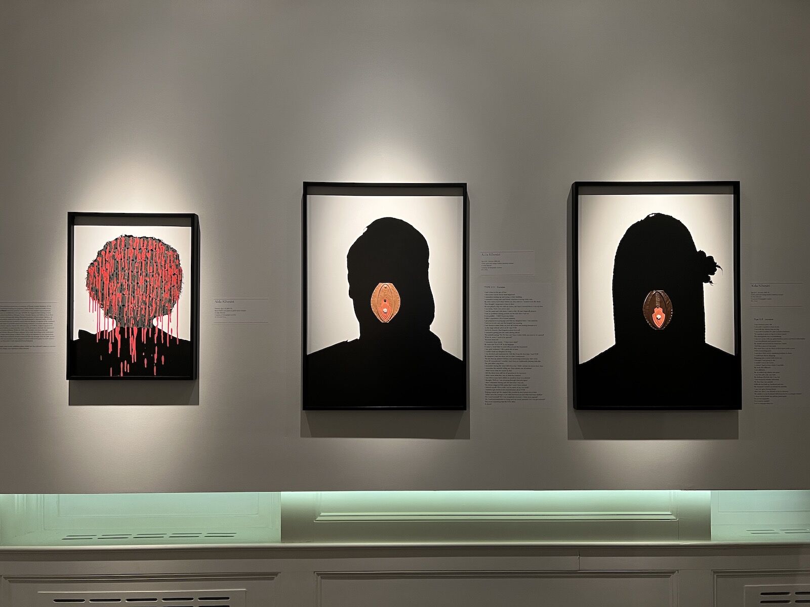 Silhouetted portraits by Aida Silvestri. As a survivor of female gential mutilation (FGM) herself, Silvestri interviewed other survivors and then created potraits that depict the types of FGM they experienced. This exhibit can be seen at the Museum of Sex in NYC