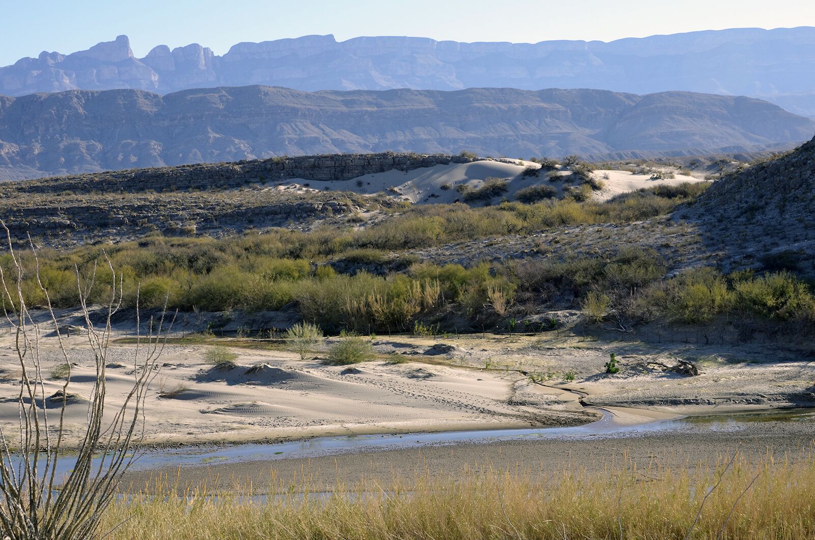 Dunes from the Rio Grande Village Nature Trail