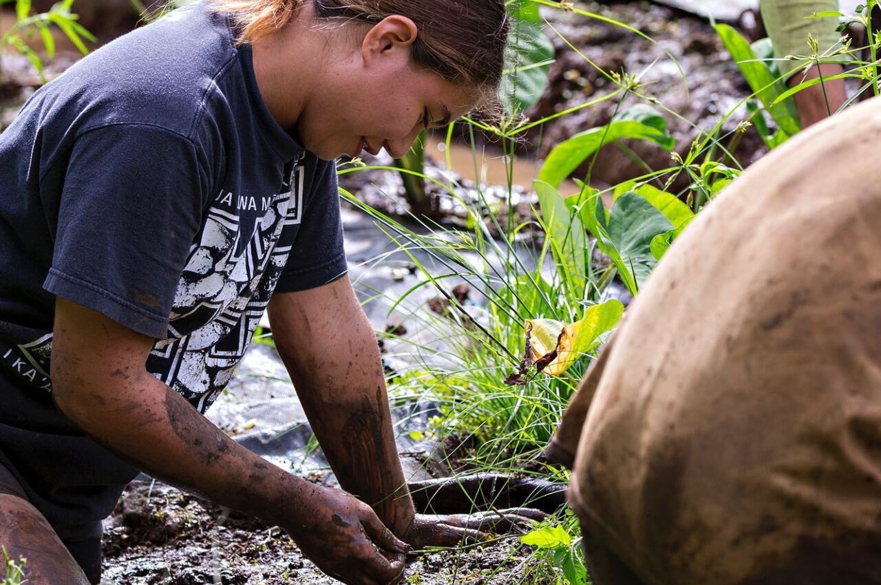 Person planting plants in a garden in Hawaii giving back on vacation 