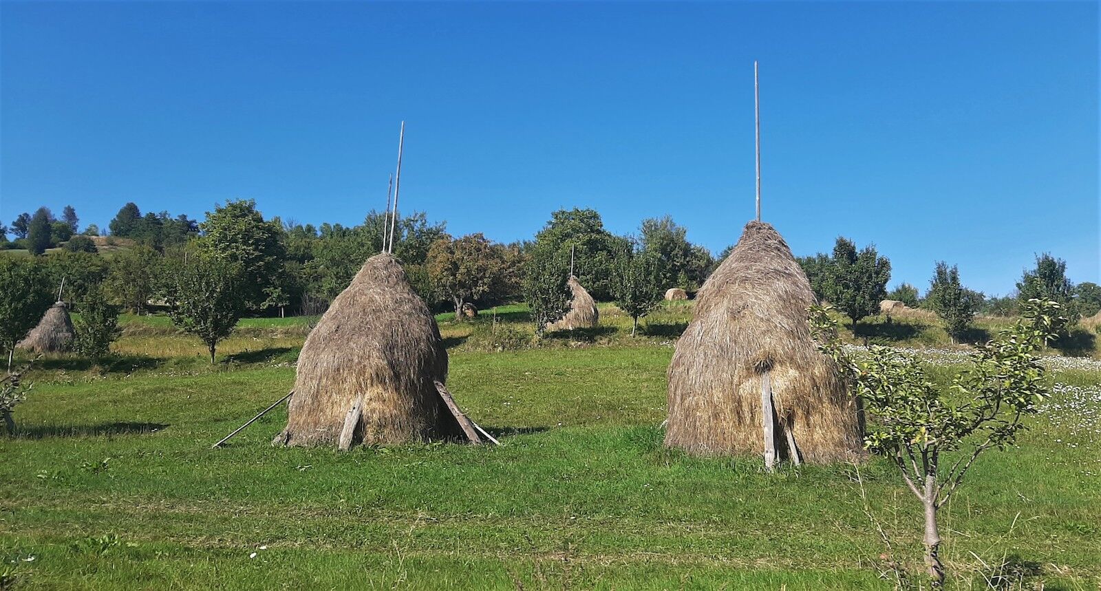 Haystacks like this are frequent sights along the roads in Romania