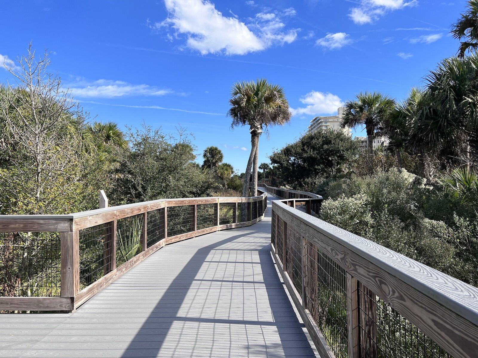 Walking through Dunes Park is one of the most popular things to do in New Smyrna Beach, Florida 