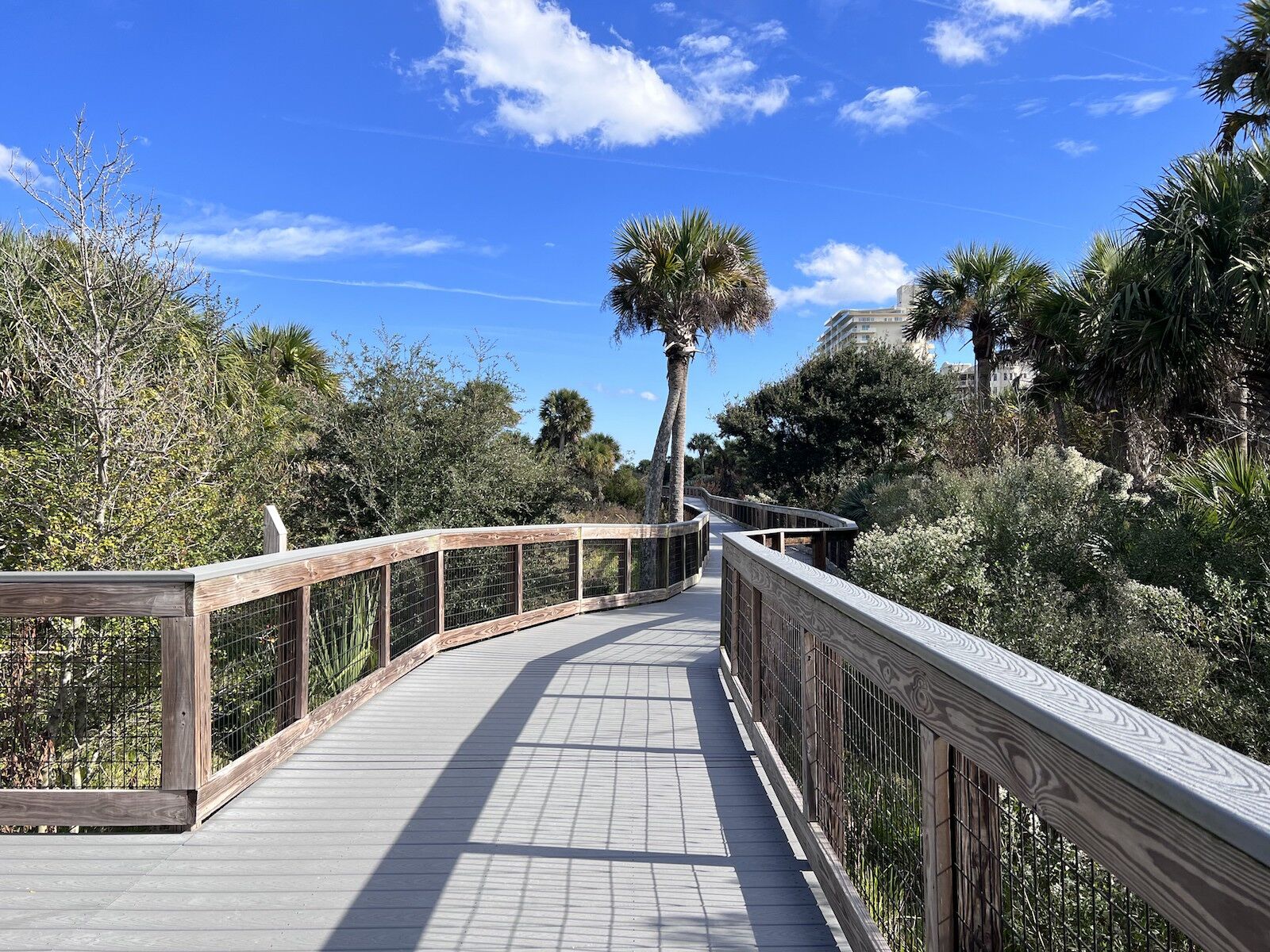 New Smyrna Beach s Coolest Activities May Surprise You