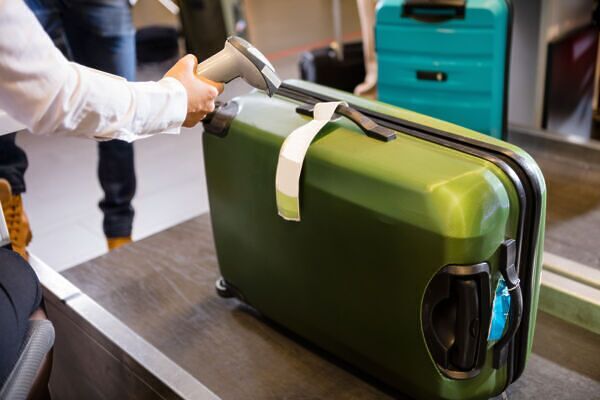 how can i get free checked bags on delta