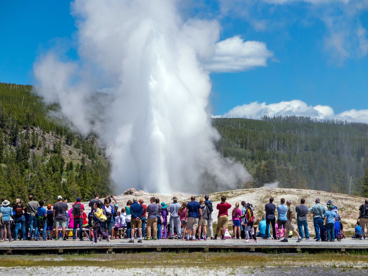 From Packed to Deserted: U.S. National Parks by Visitor Numbers