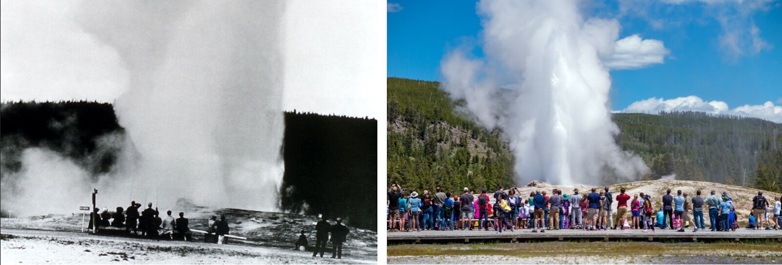 Old Faithful_Yellowstone National Park yellowstone history