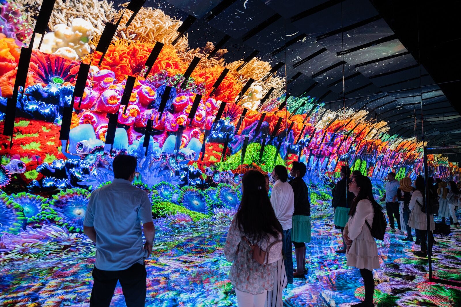 ocean exhibit at griffin museum