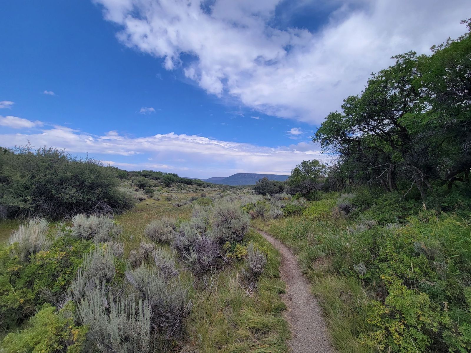 Uplands Trail_Black Canyon of the Gunnison hiking