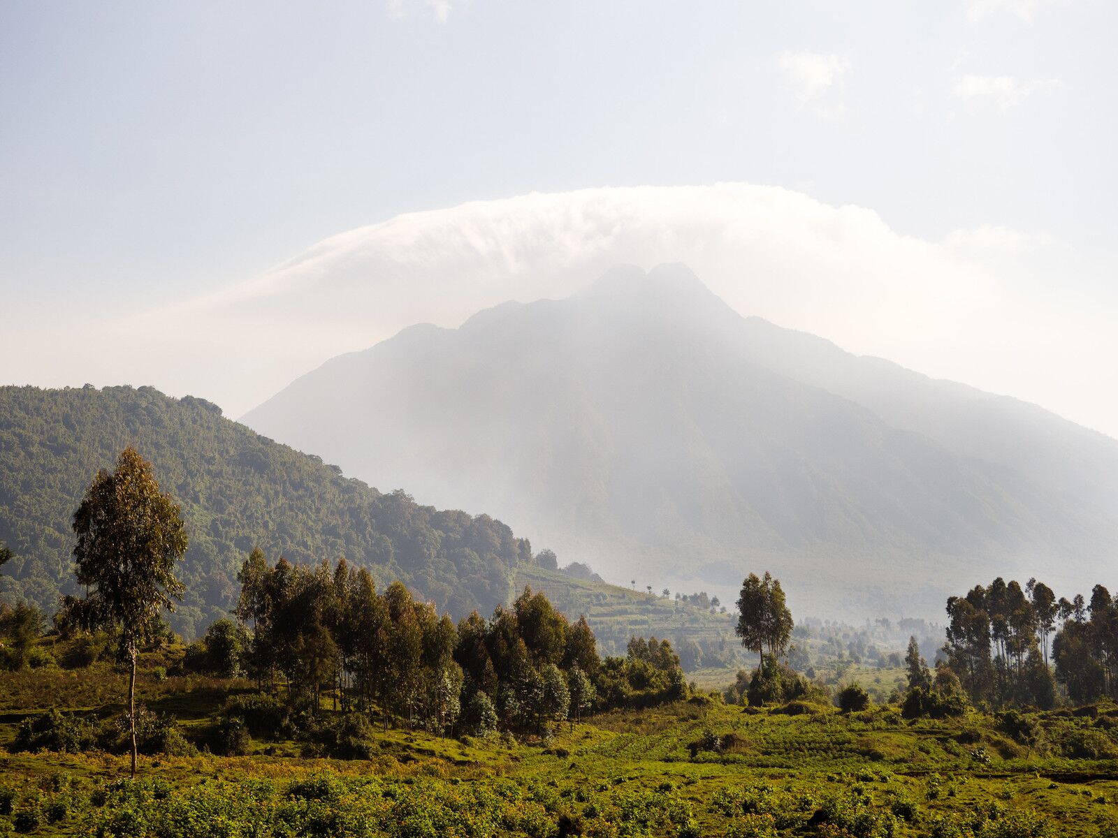 Volcanoes national park in rwanda