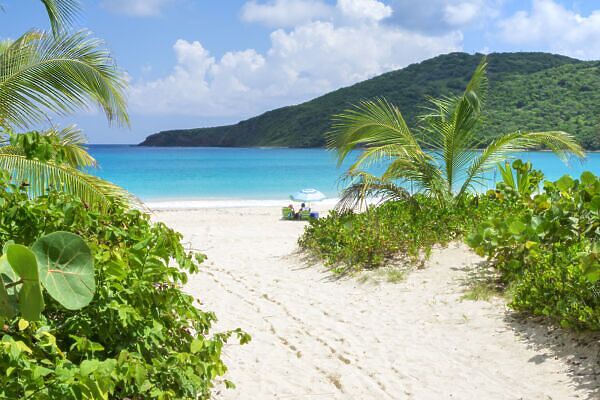 Puerto Rican Protest Goes Viral After Attempt to Privatize Public Beach