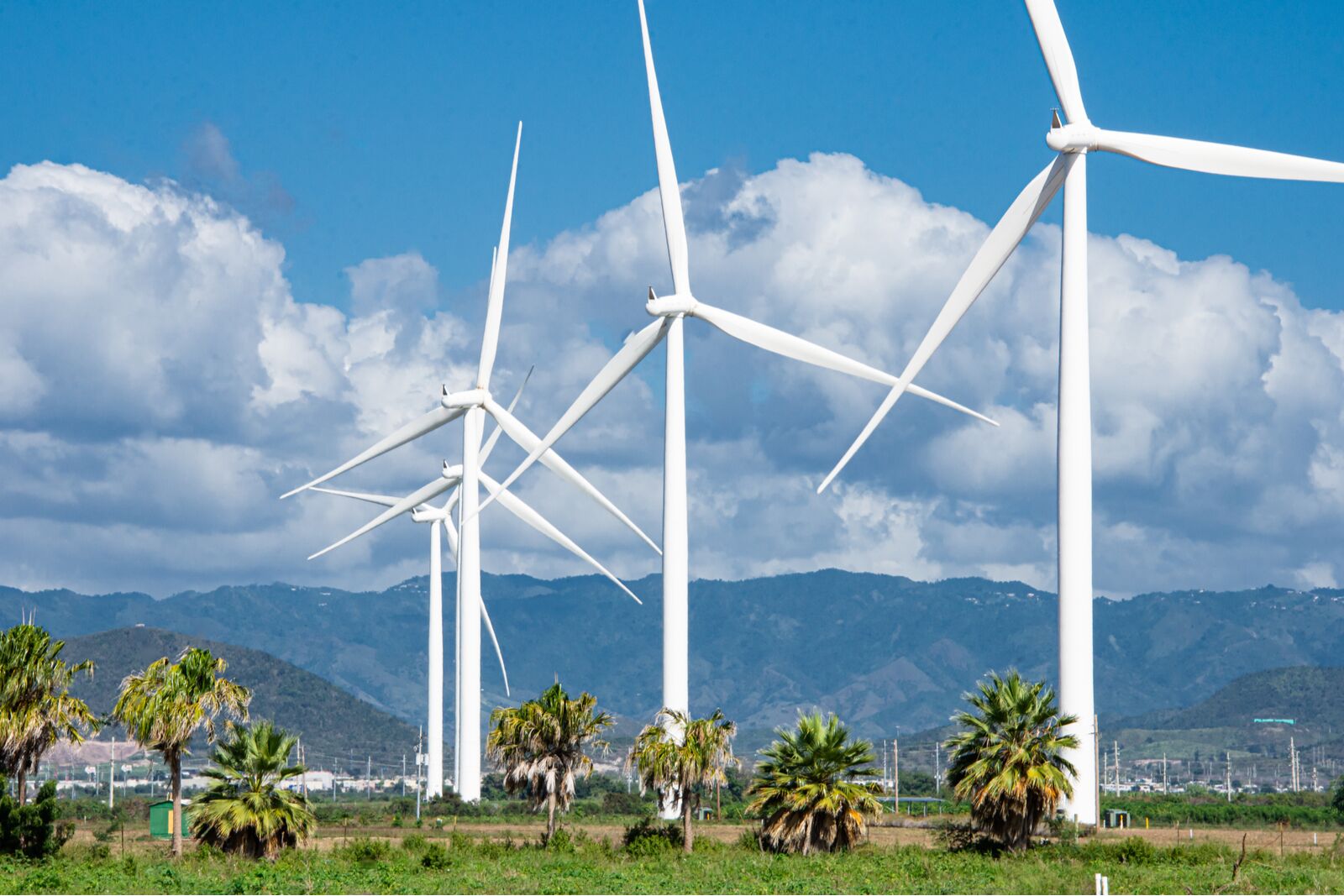 Wind farm in Puerto Rico