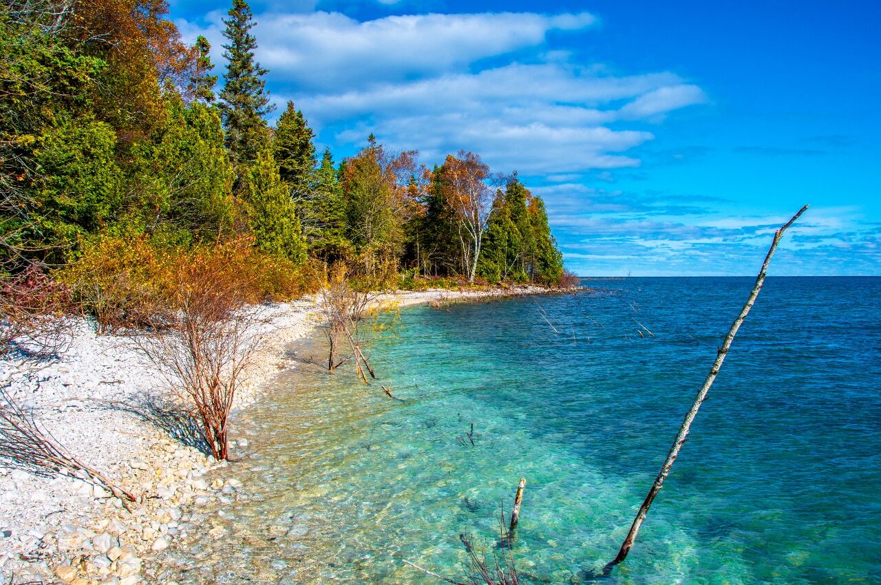 Photo of forest on the coast of Door County Wisconsin 