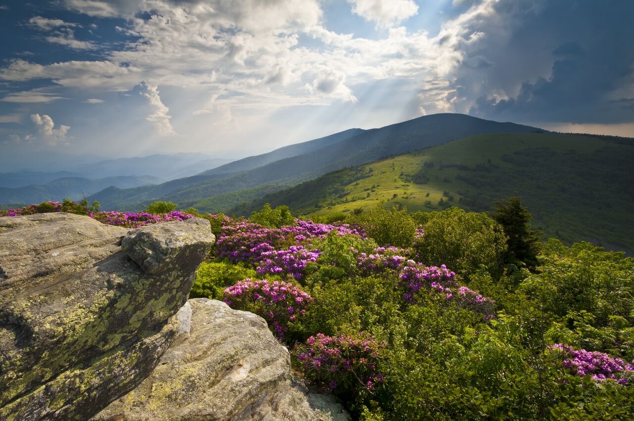 Mountains in spring in Chattanooga, Tennessee