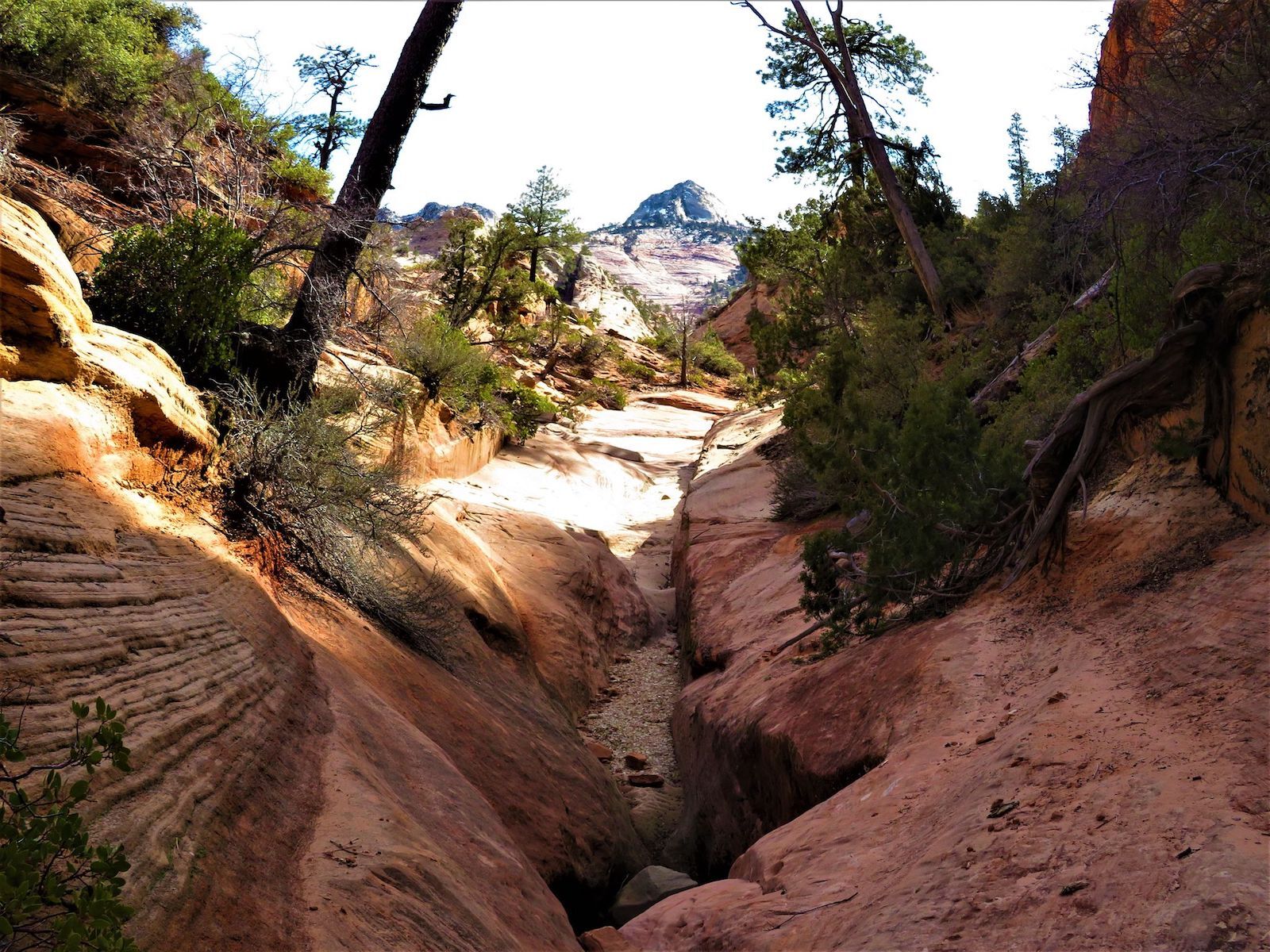 Cascade Falls_Least-crowded Zion National Park hiking trails
