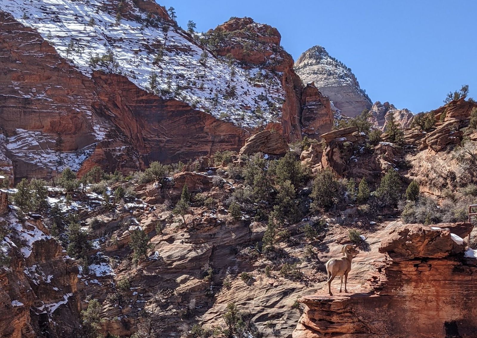 G2 Trail_Least-crowded Zion National Park hiking trails