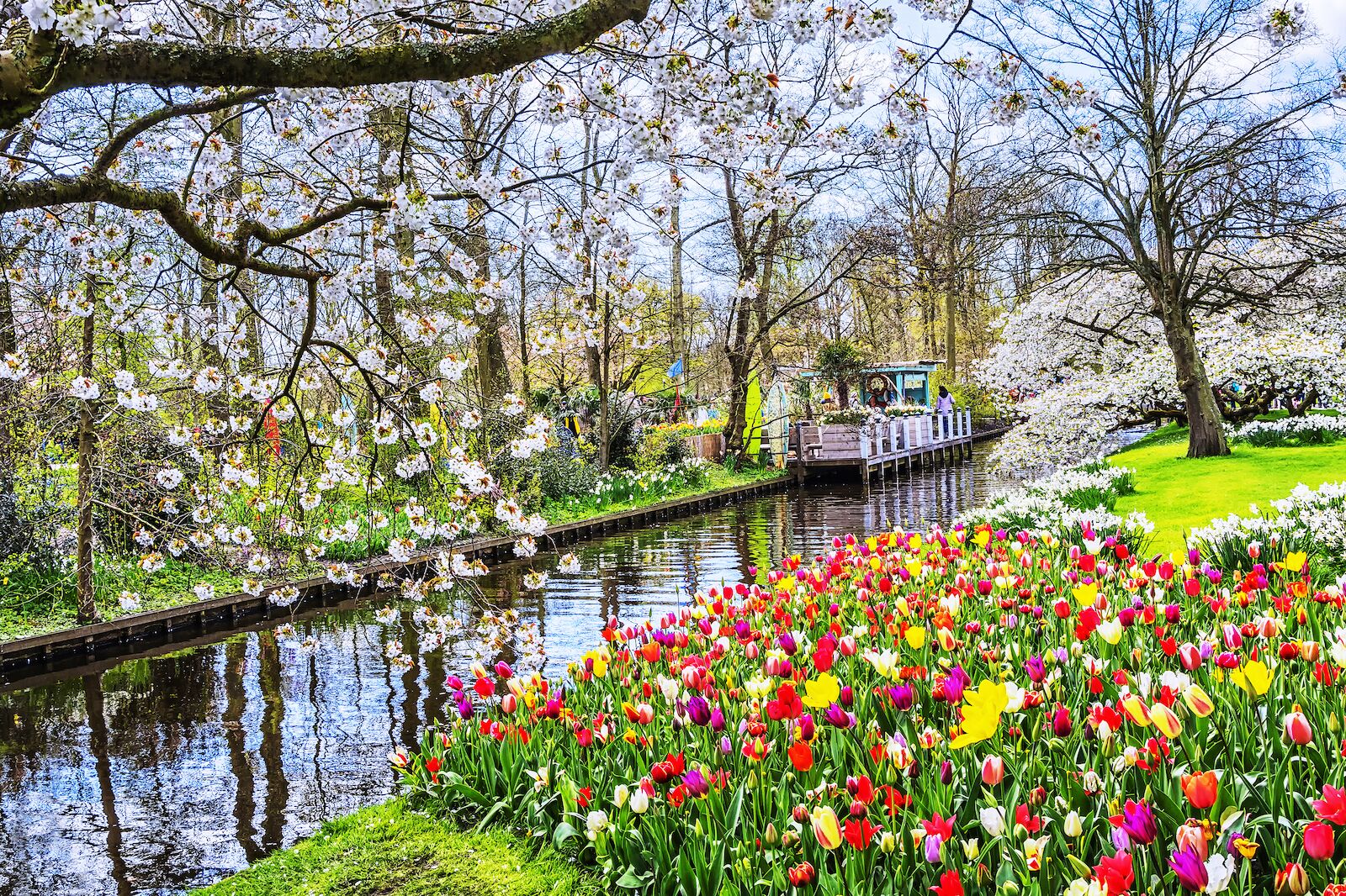river with boat on it in keukenhof during tulip bloom