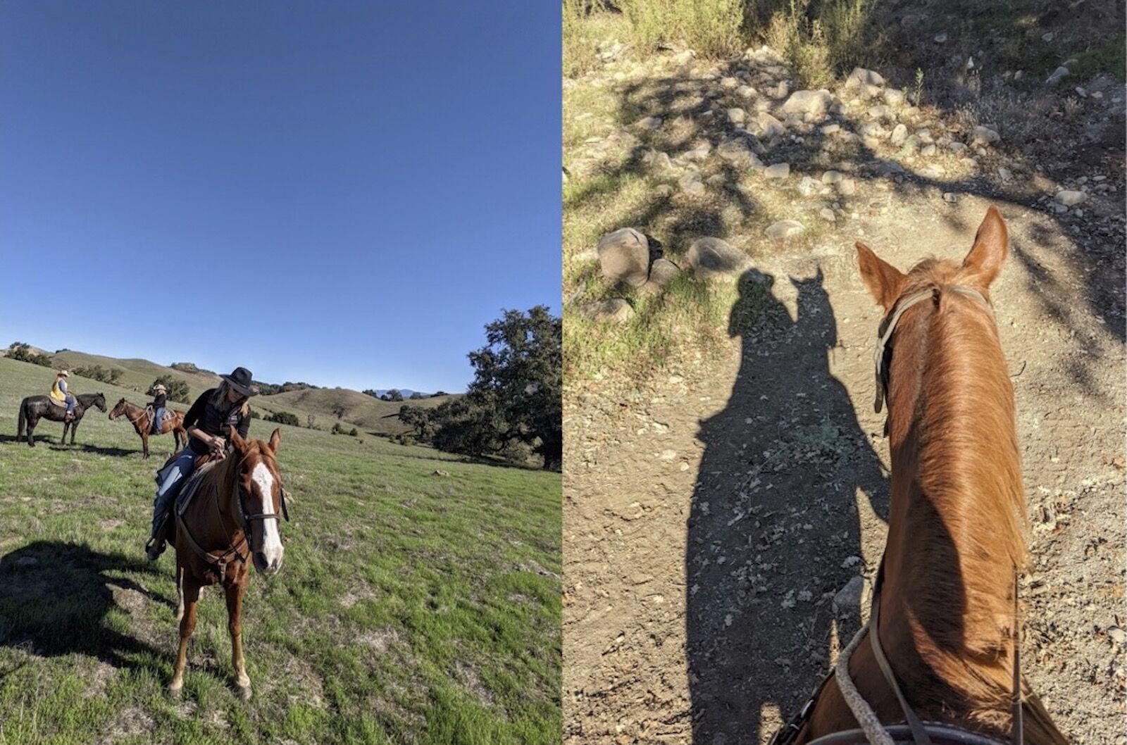 Riding Zippo on the author's california dude ranch vacation
