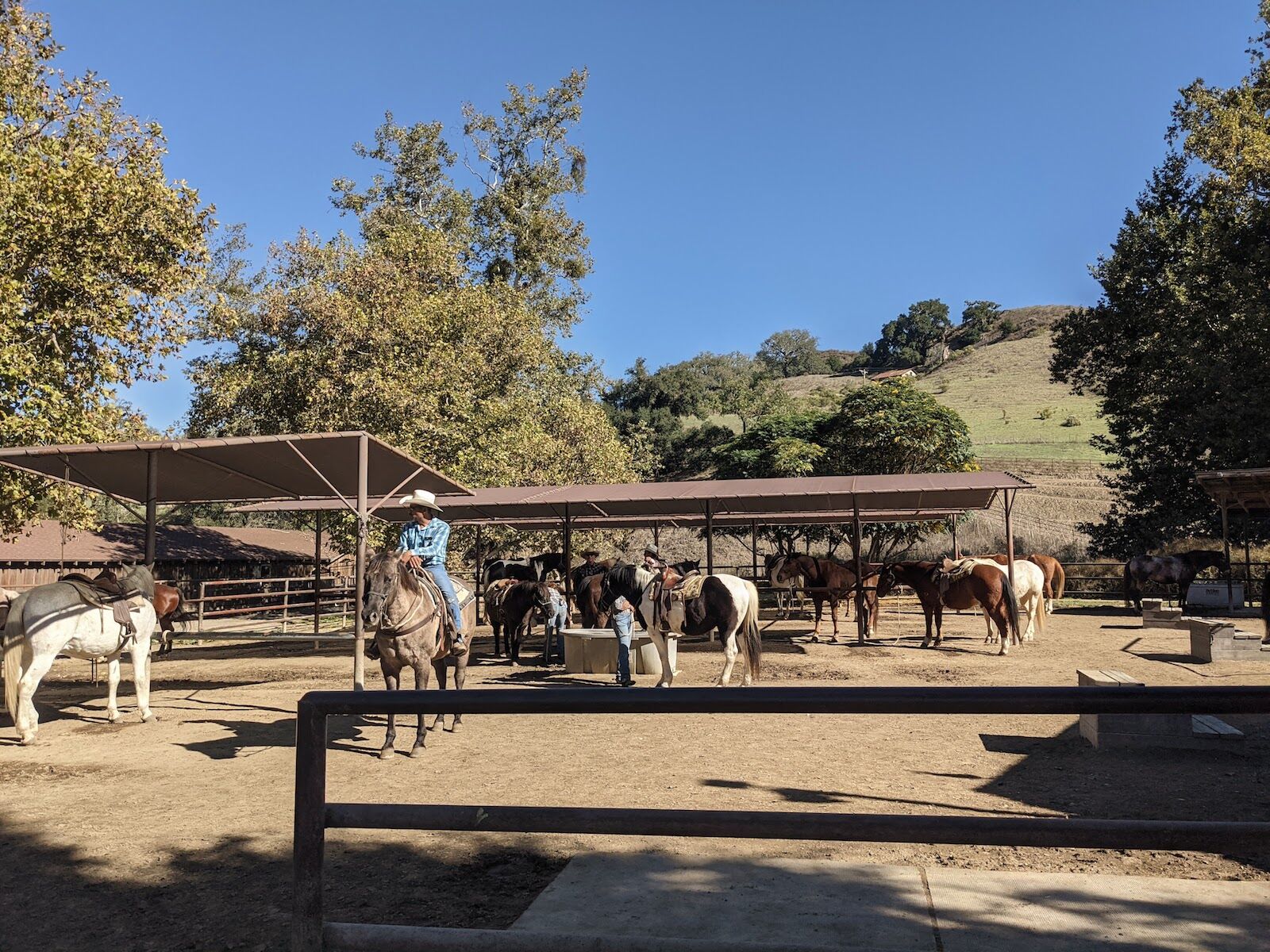 The corral at Alisal California dude ranch