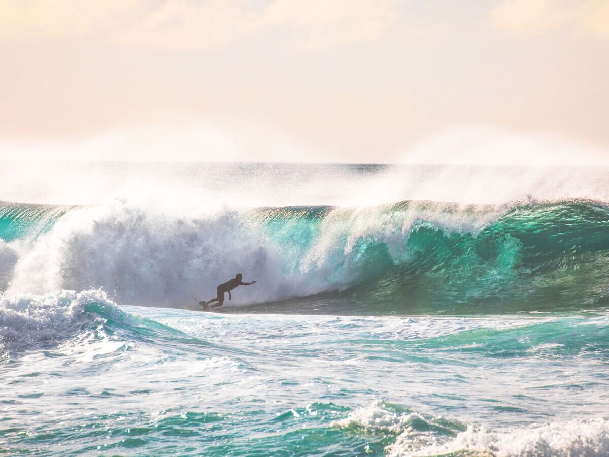 North Shore Hawaii одежда