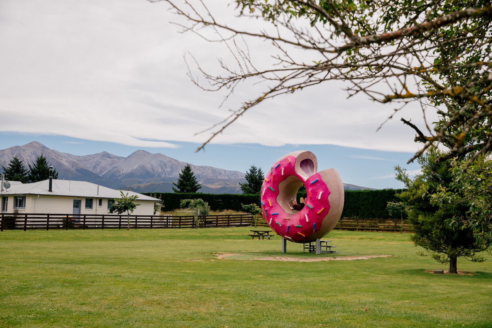 roadside attractions food - springfield donut New Zealand
