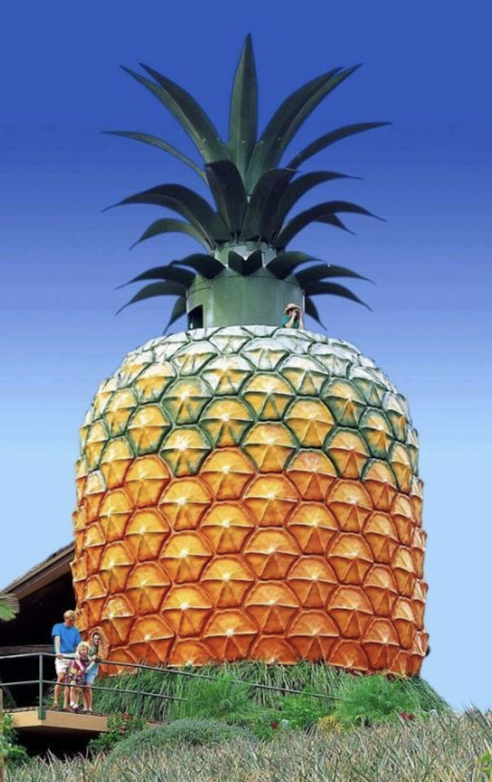 roadside attractions - pineapple Australia