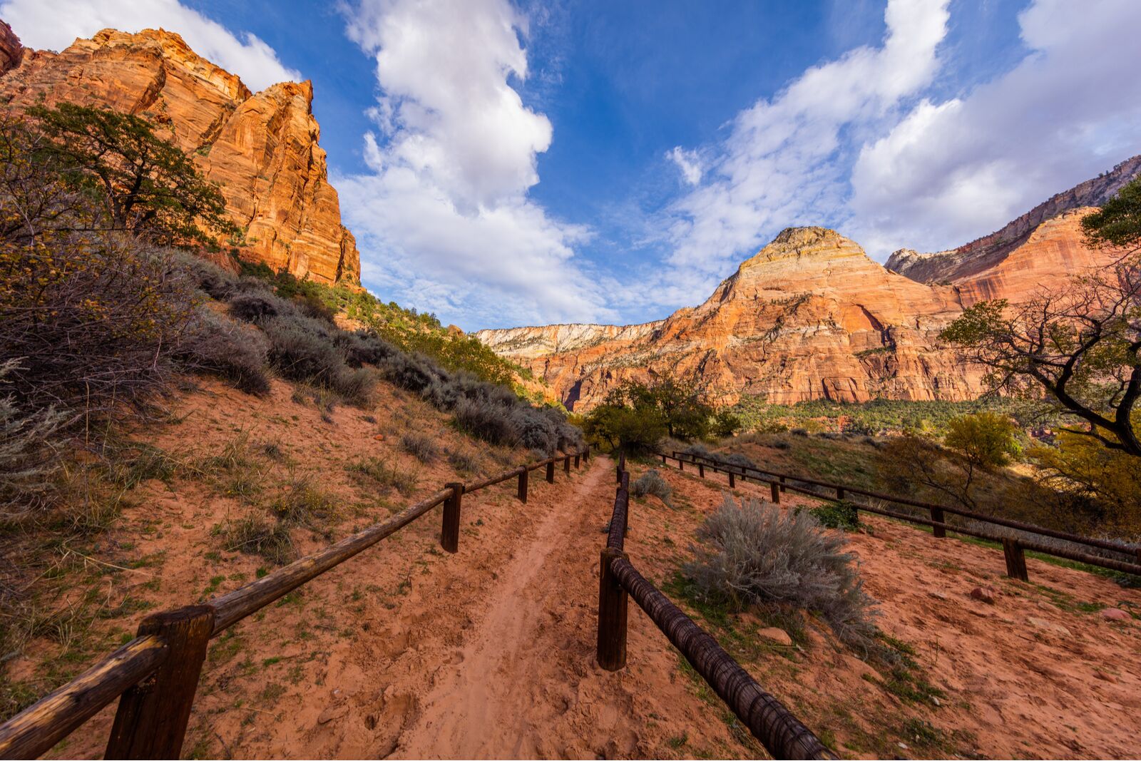 Zion national park hiking trail - trail in the canyon