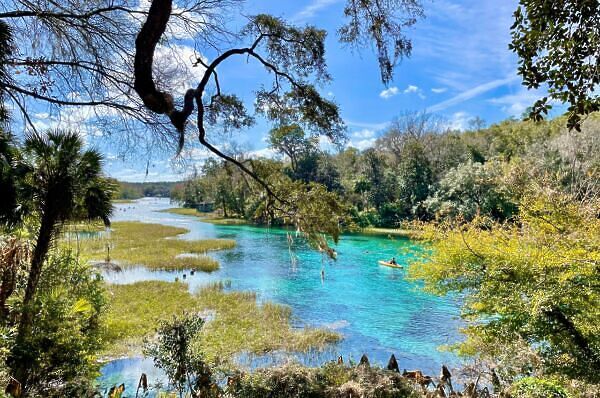 8 Best Natural Springs in Florida and How to Get to Them