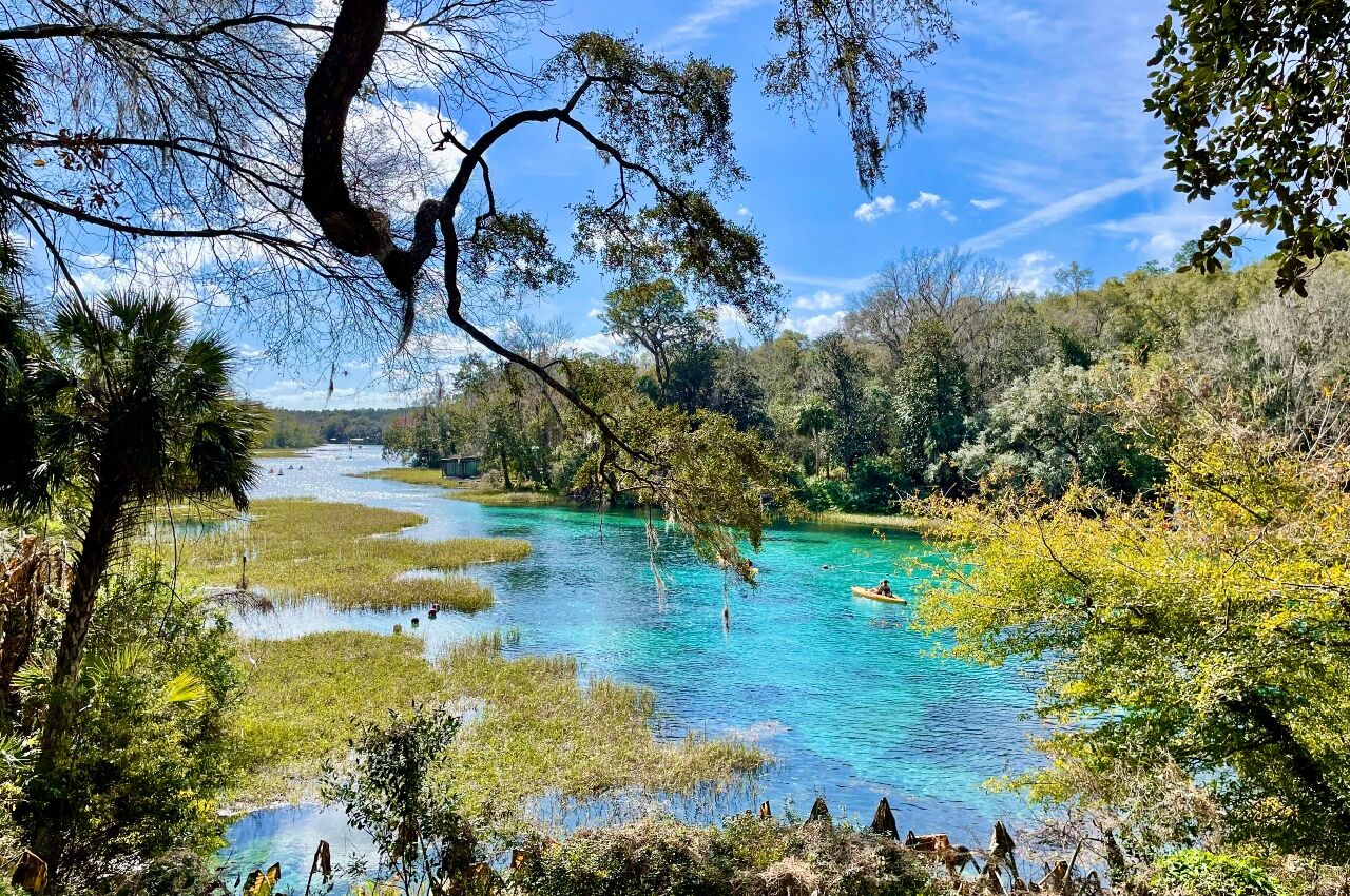 Rainbow Springs a natural spring in Florida