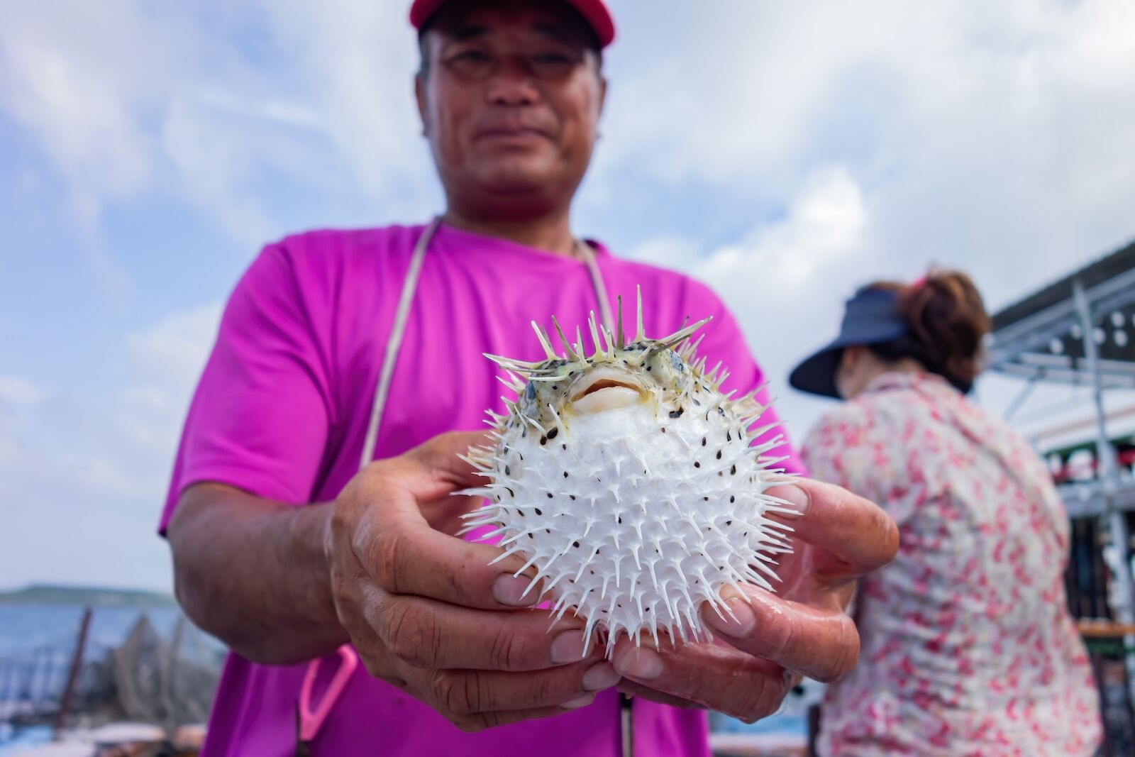 where to try fugu in Japan fresh pufferfish