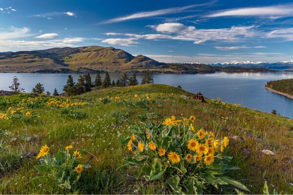 7 Awesome State Parks in Montana for Avoiding the National Park Crowds