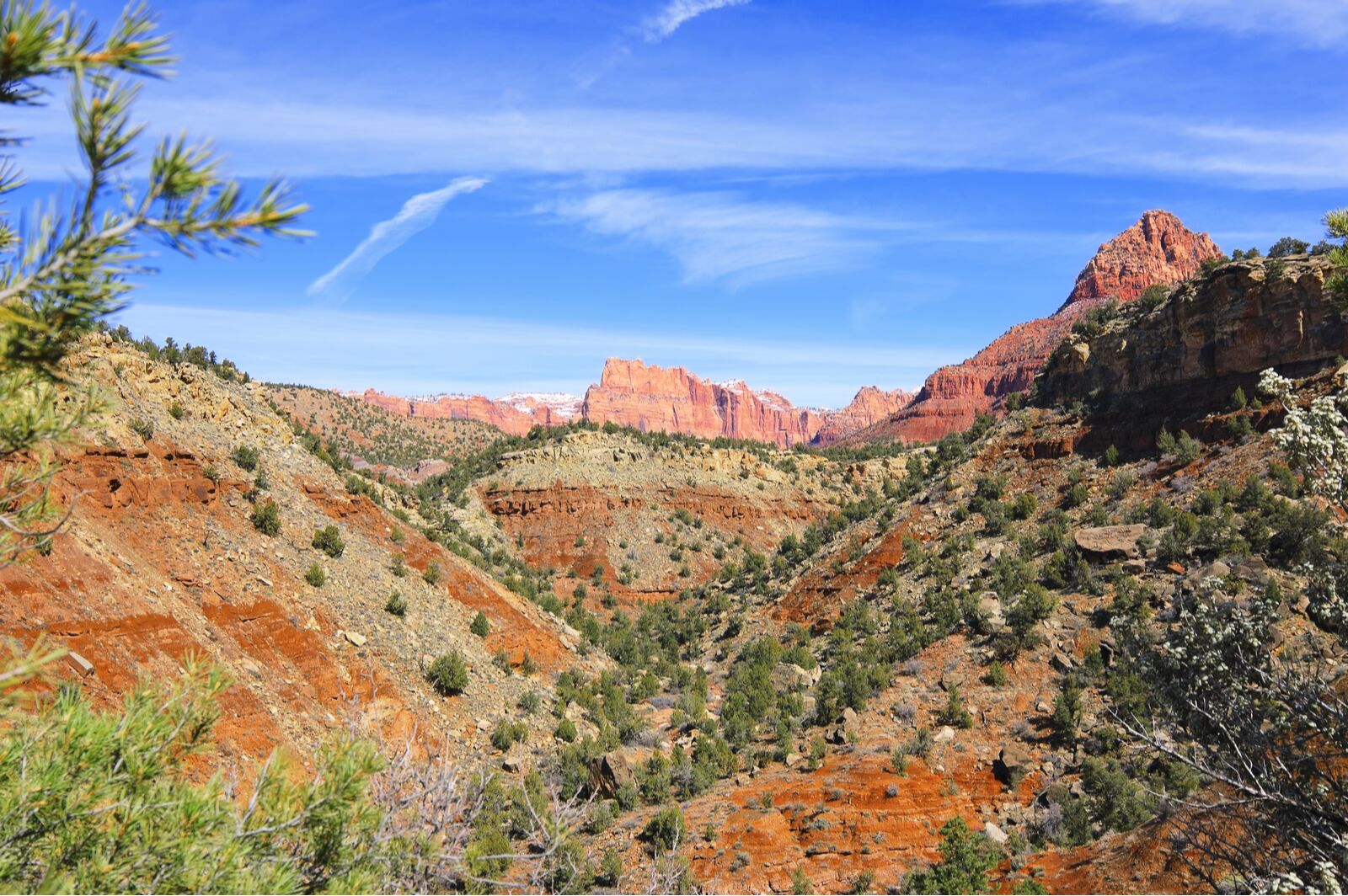 Coalpits is one of the least crowded zion national park hiking trails