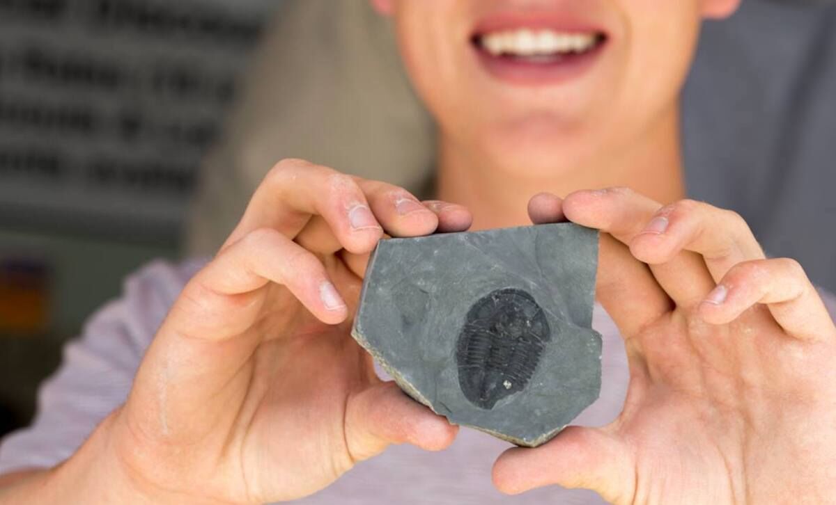 The 9 Best Places for Fossil Hunting in the United States