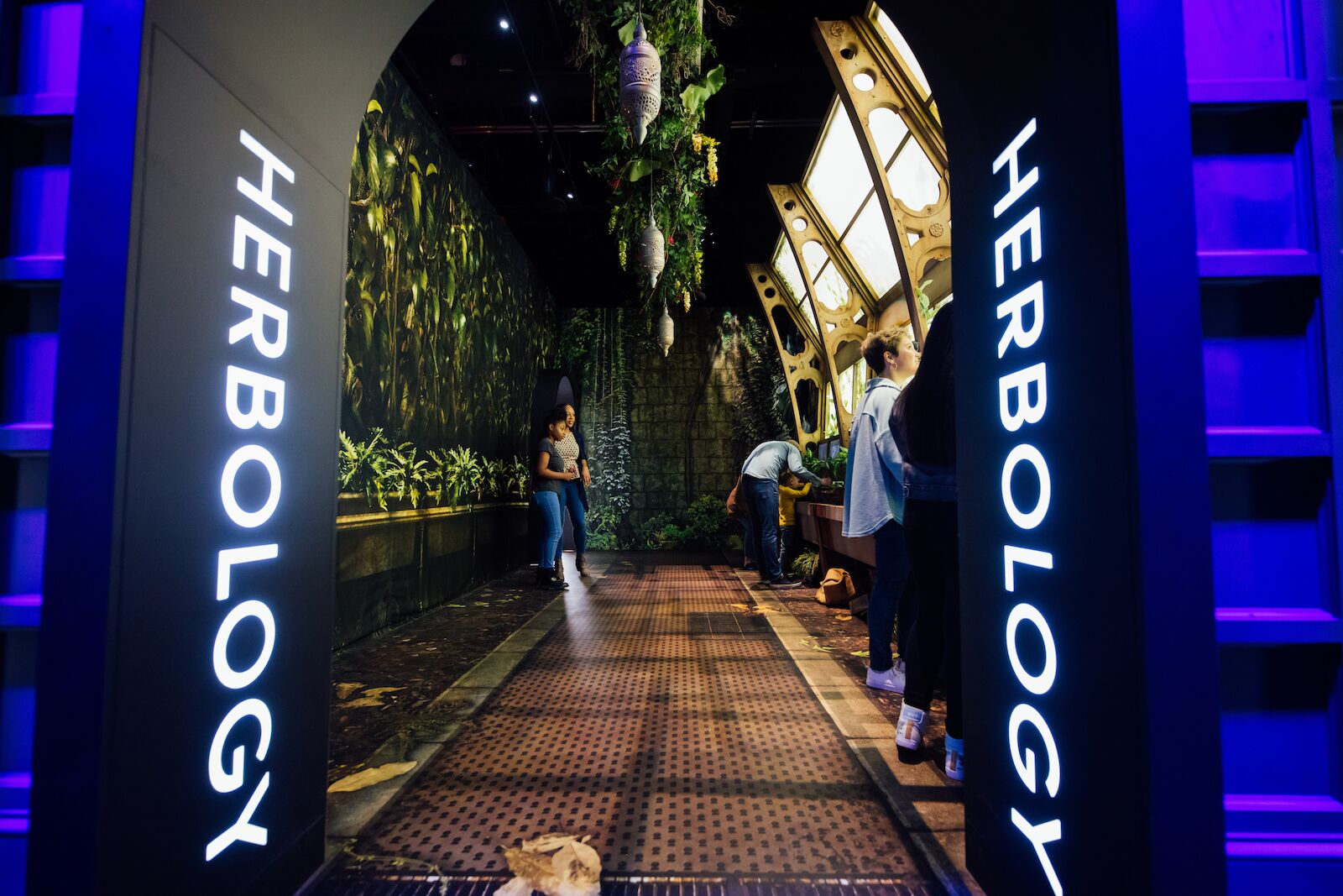 Herbology department at Harry Potter: The Exhibition
