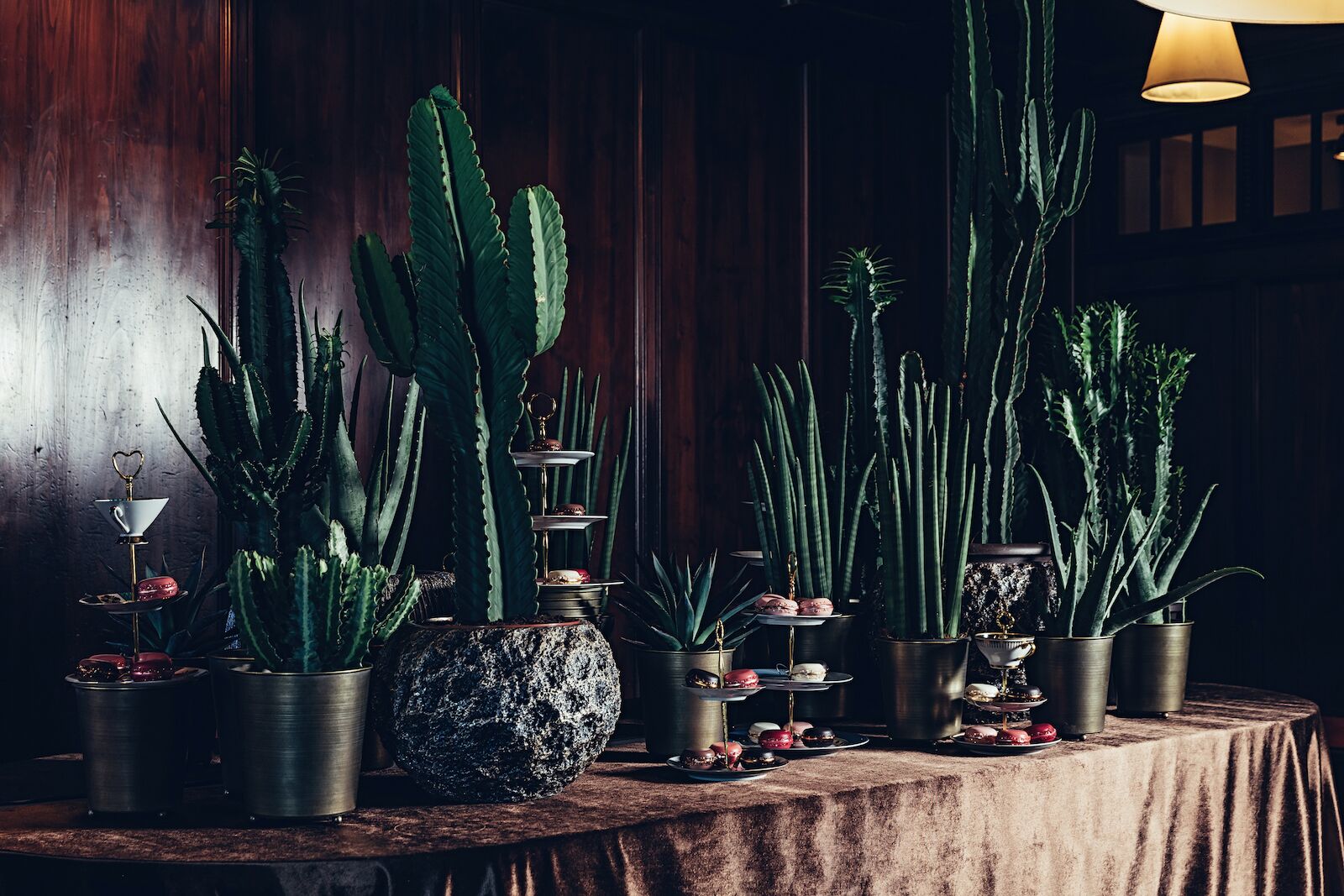 worlds oldest restaurant cacti decor