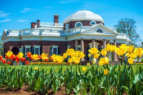 yellow and red flowers in front of monticello