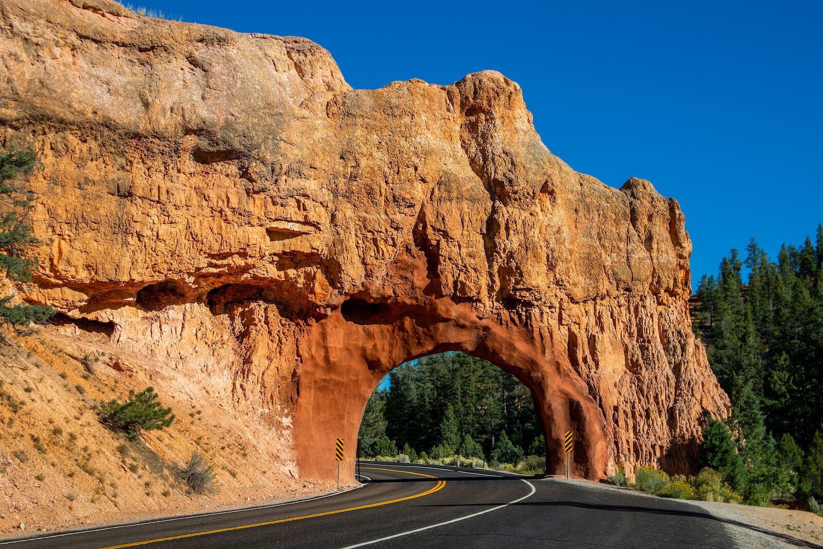 The Best Scenic Byway Road Trips in the United States