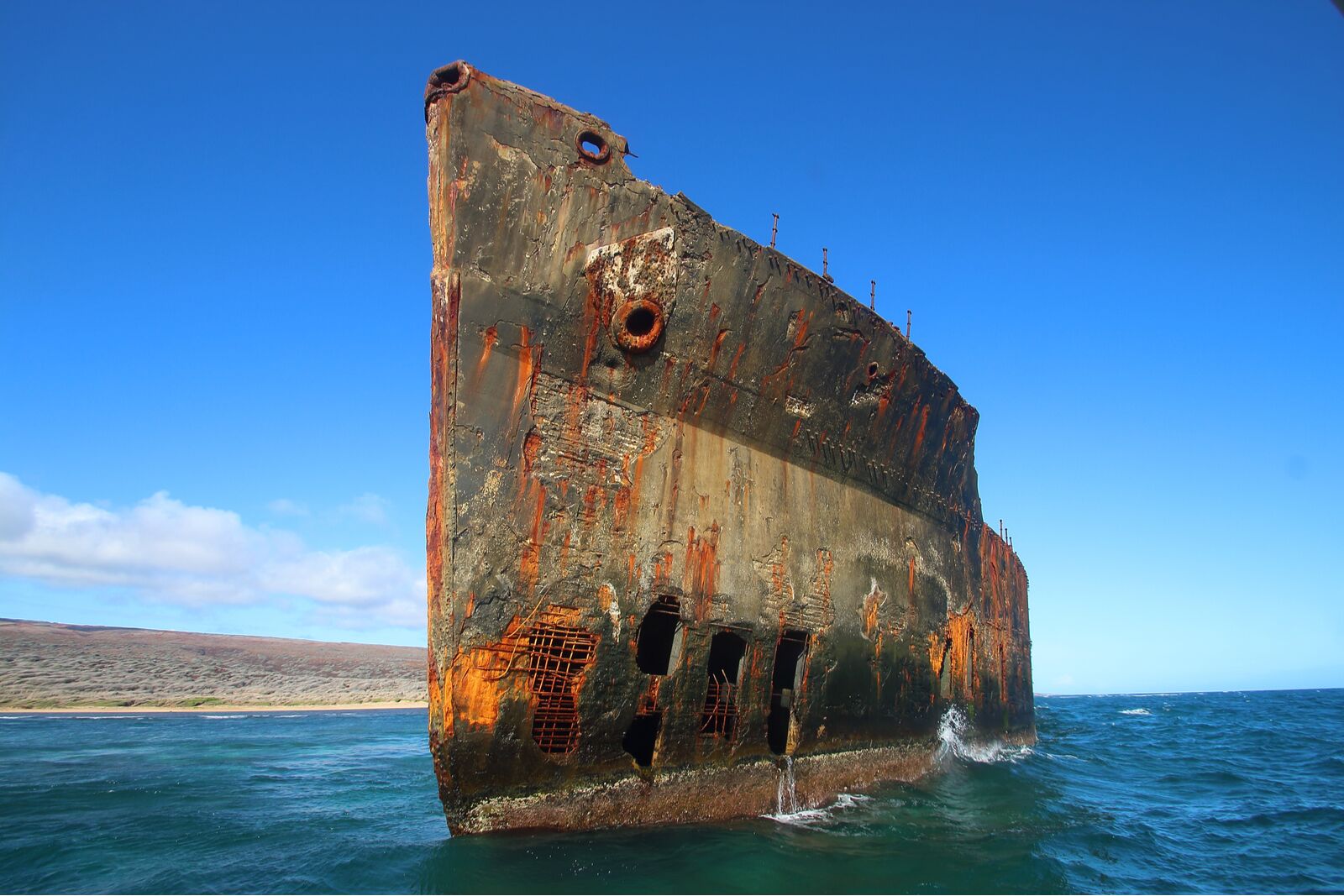 Shipwrecks and Sea Monsters of California's Central Coast