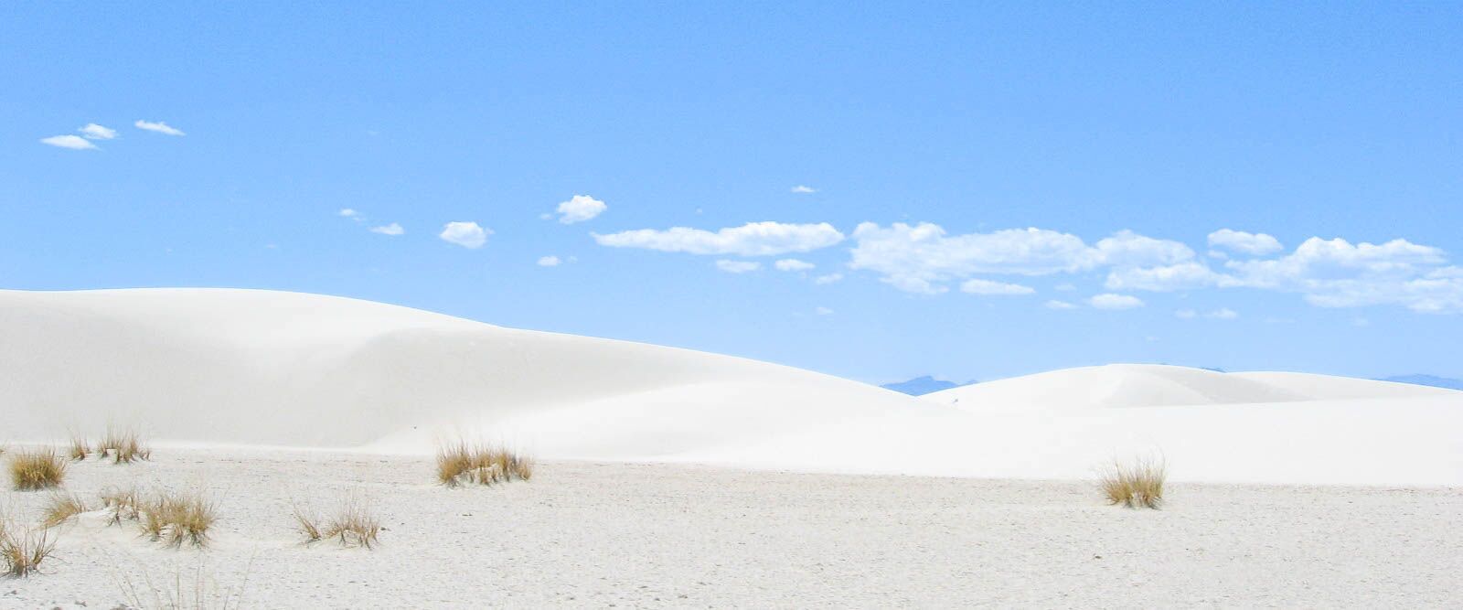 white sands national park dunes